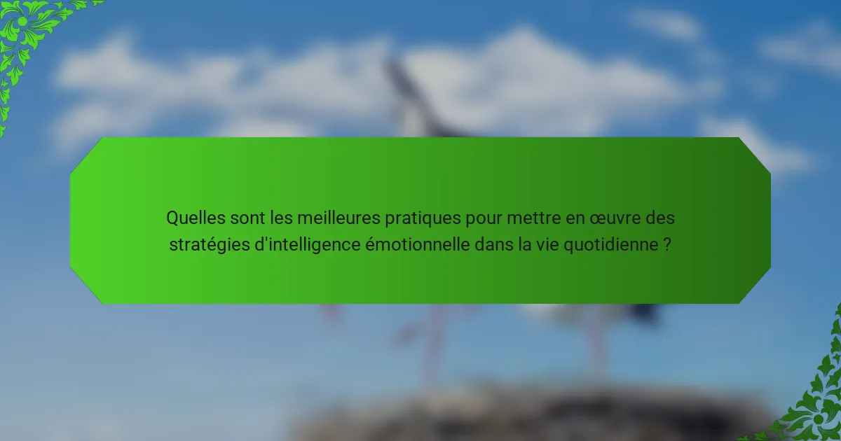 Quelles sont les meilleures pratiques pour mettre en œuvre des stratégies d'intelligence émotionnelle dans la vie quotidienne ?