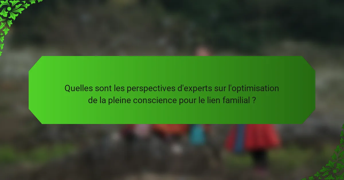 Quelles sont les perspectives d'experts sur l'optimisation de la pleine conscience pour le lien familial ?