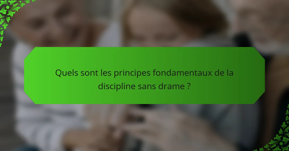 Quels sont les principes fondamentaux de la discipline sans drame ?